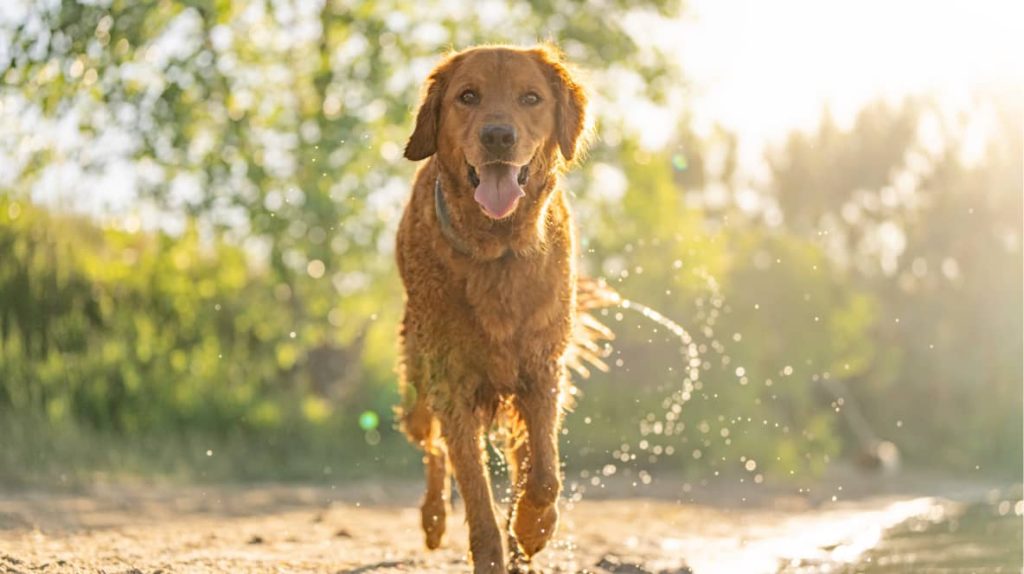 019ada7b 7218 4429 bef1 d50d2da2fc84