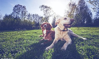 09441118 38df 4b30 ae0c d0ddd86f3bf4