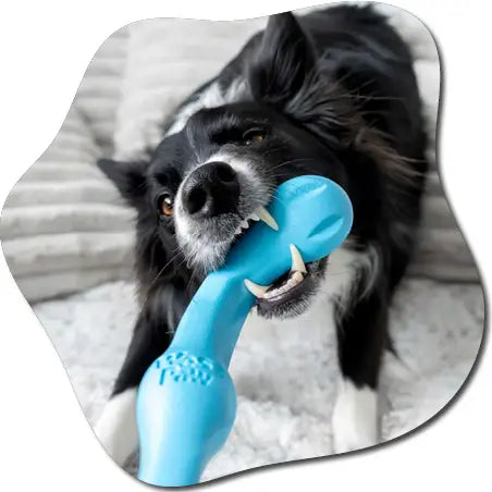 20765af4 f4d9 4c14 b8d5 0e84479dd9dc