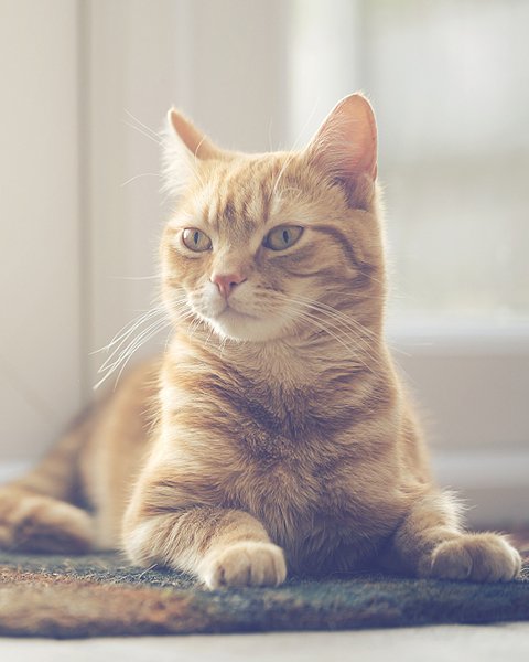 242ccb65 a49c 44b7 8a0c ef1564c70600