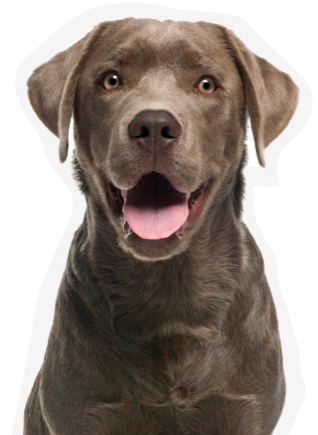 49bc8841 17d1 4f5b 9d8e 6f30d3520720