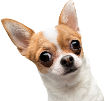 9076e42e 13ab 48c8 916e acff85c660fa