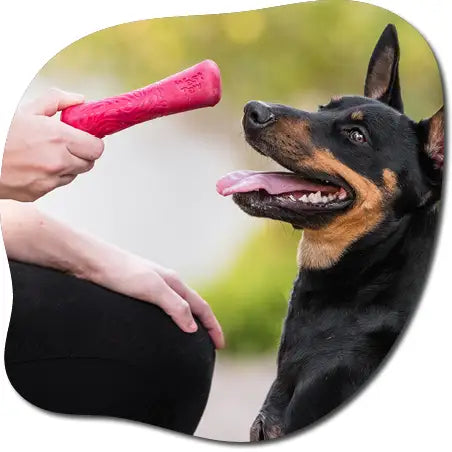 92f4f0de a9ec 4658 9af6 0fc0d33fdc6b