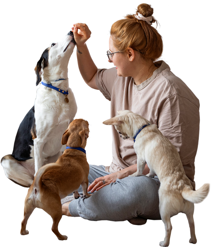 a87db53d f946 4ab7 8739 de76dab77c15