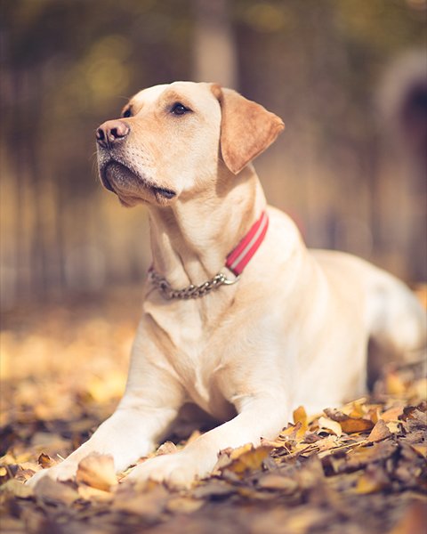 affa9f4a a5c5 439e 877d 34f69df81cce