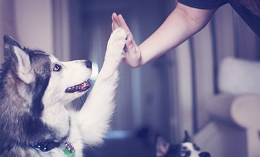 ba878dc8 d89e 44f5 b95b 4ad5f61aa20b