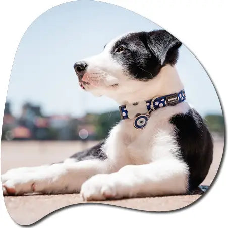 c433eff0 c3ea 4f97 98d5 057c82391feb