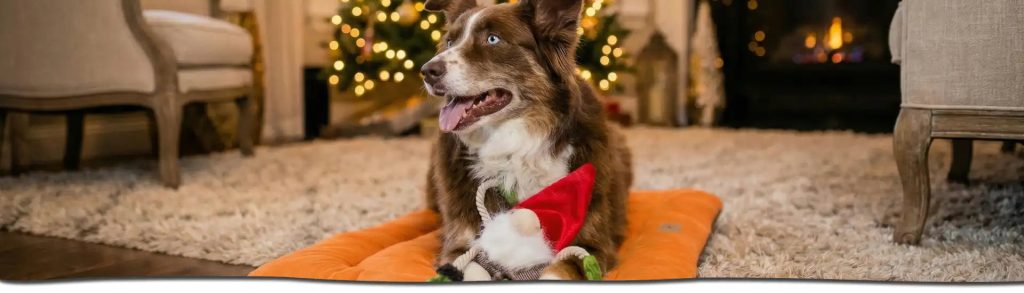 ed71b4ed 6d2a 4f1b 95eb 10c295d70bcc