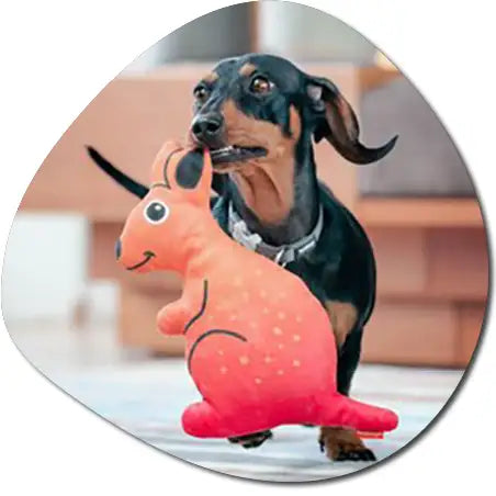 fb1cf09f 65cf 4ebd 80e5 f20e48d4b490