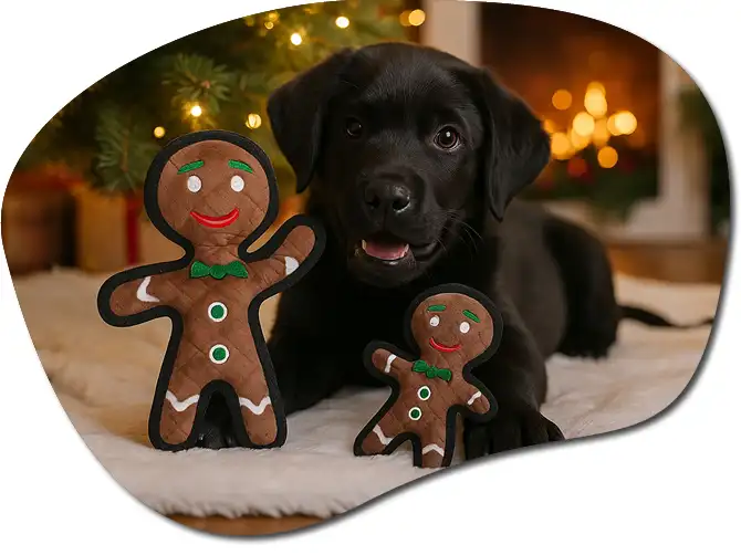 featured category image holiday